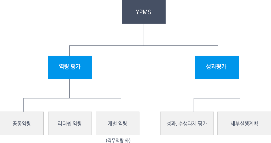 YPMS 역량평가 - 공통역략, 리더쉽 역량, 개별 역량 성과평가 - 성과, 수행과제 평가, 세부실행계획
